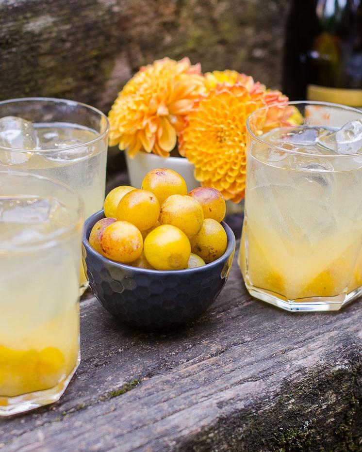 Rezeptbild: Mirabellen Secco