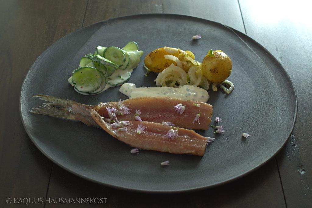 Rezeptbild: Matjes mit Kartoffel, Lauch,Gurke und Joghurt