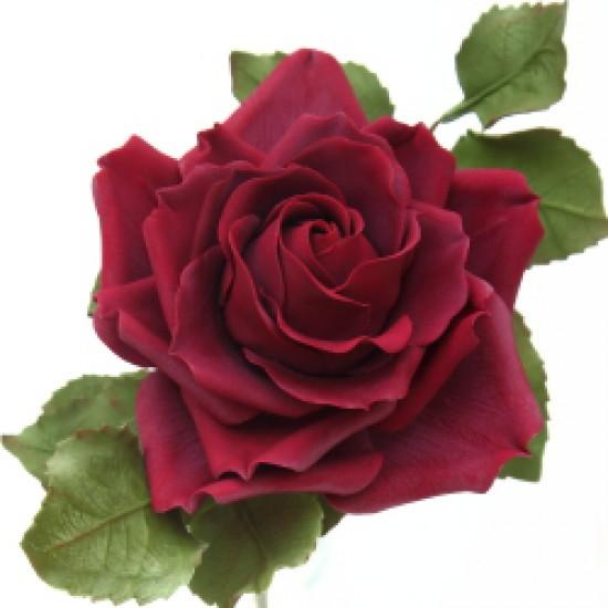 Rezeptbild: dunkelrote Zuckerrose